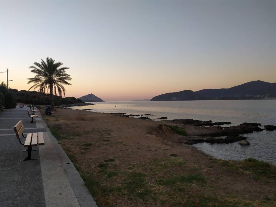 Pórto Ráfti Modern Studio Next To The Sea! מראה חיצוני תמונה